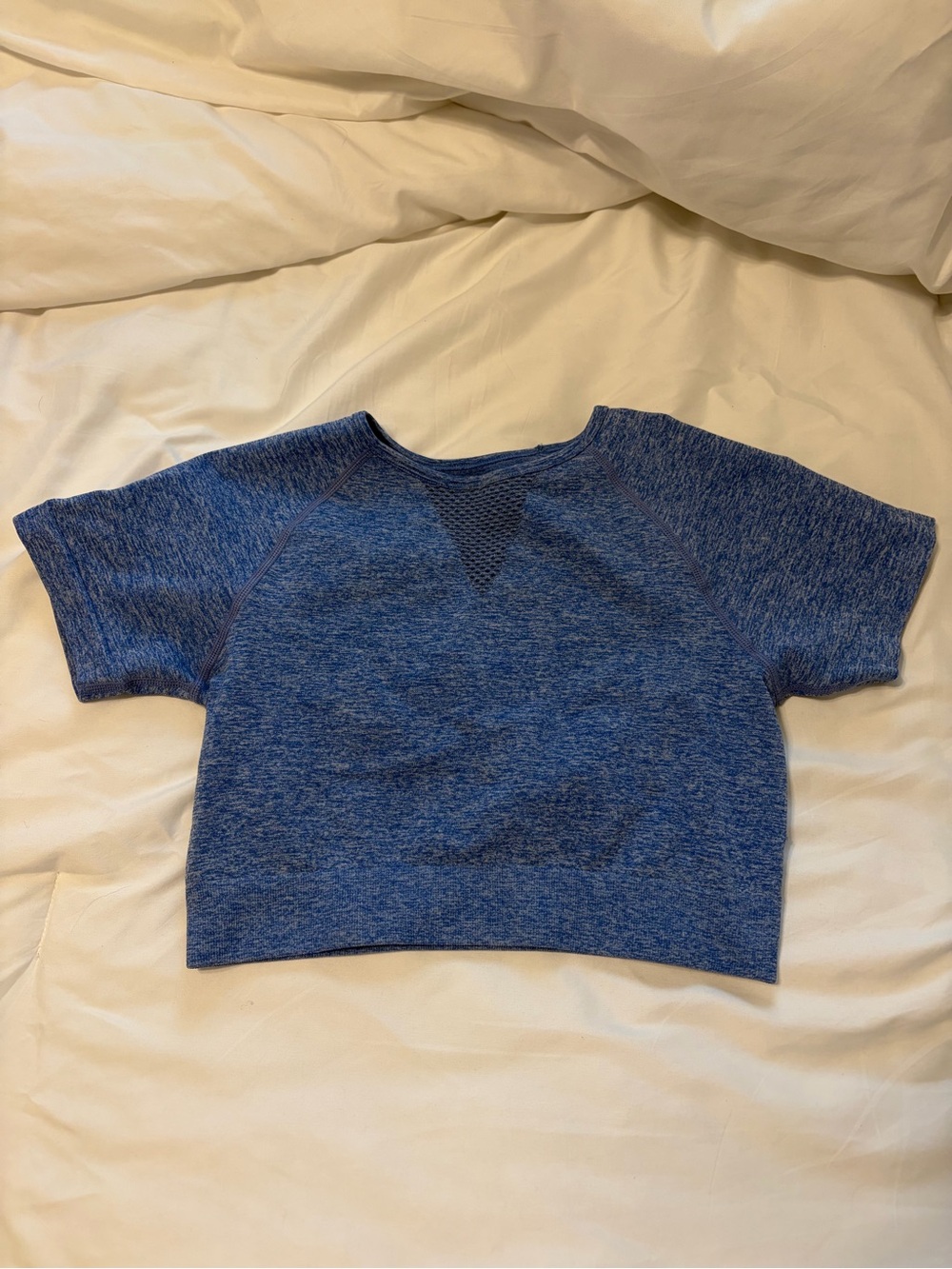 Buff Bunny Collection Heathered Blue Short Sleeve Active Top